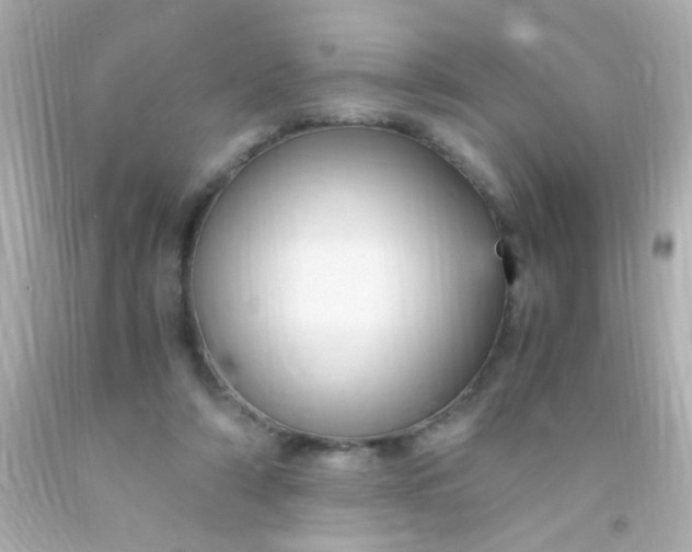 X0000091500306200709061927