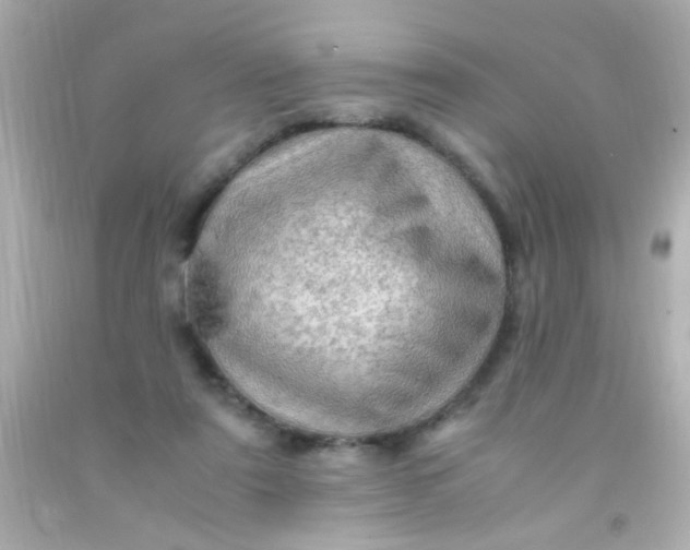 X0000091500307200709061927