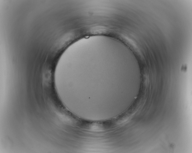 X0000091500308200709061927