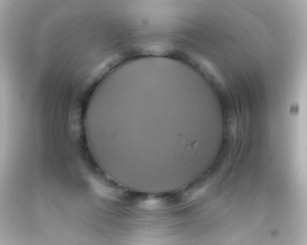 X0000091500312200709061927