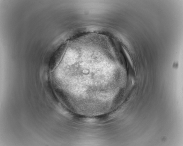 X0000091500313200709061927