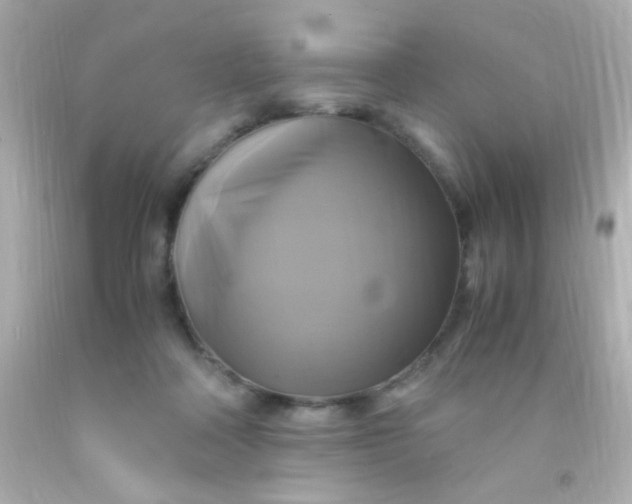 X0000091500314200709061927