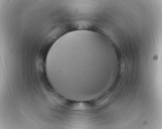 X0000091500316200709061927