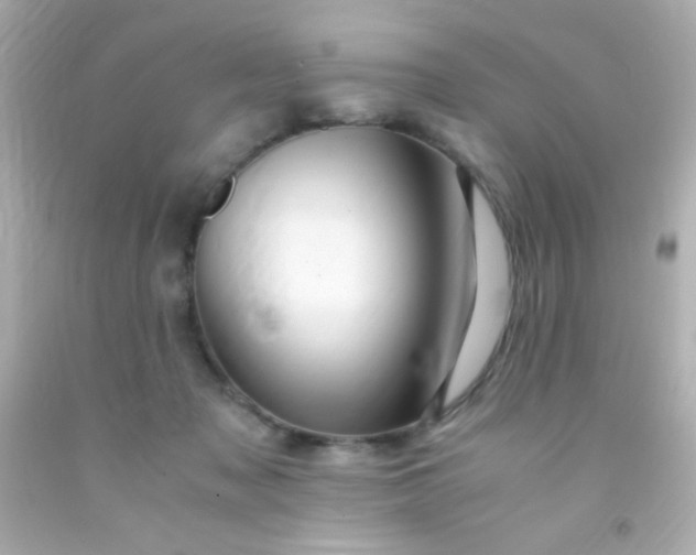 X0000091500317200709061927