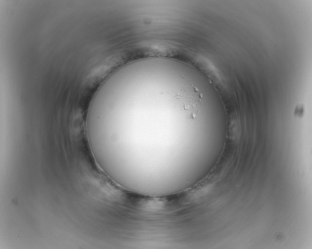 X0000091500318200709061927