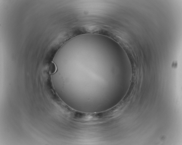 X0000091500319200709061927