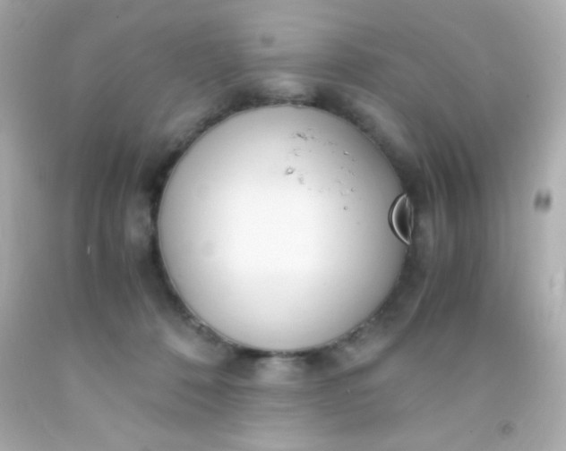 X0000091500320200709061927