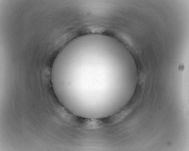 X0000091500321200709061927