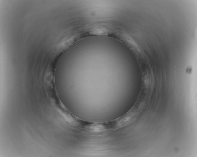 X0000091500322200709061927