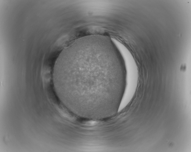 X0000091500323200709061927