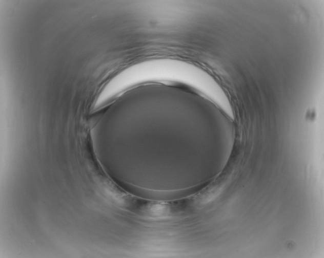 X0000091500325200709061927