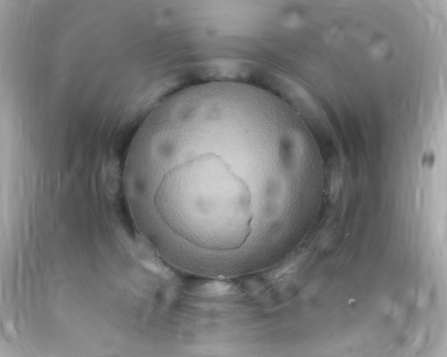 X0000091500326200709061927