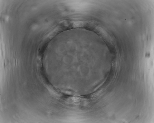 X0000091500327200709061927