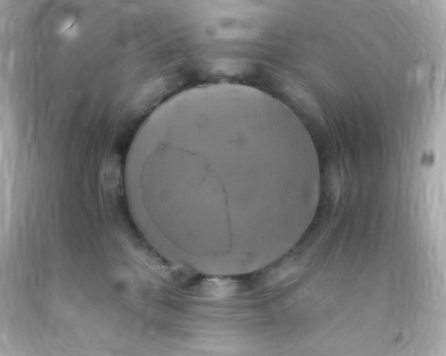 X0000091500328200709061927