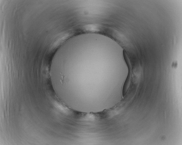 X0000091500330200709061927