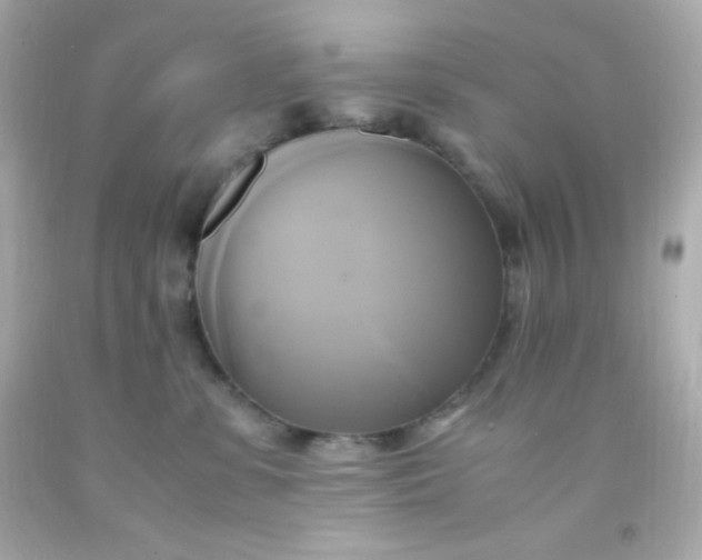 X0000091500331200709061927