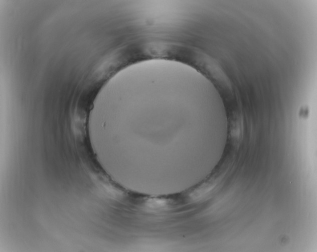 X0000091500332200709061927