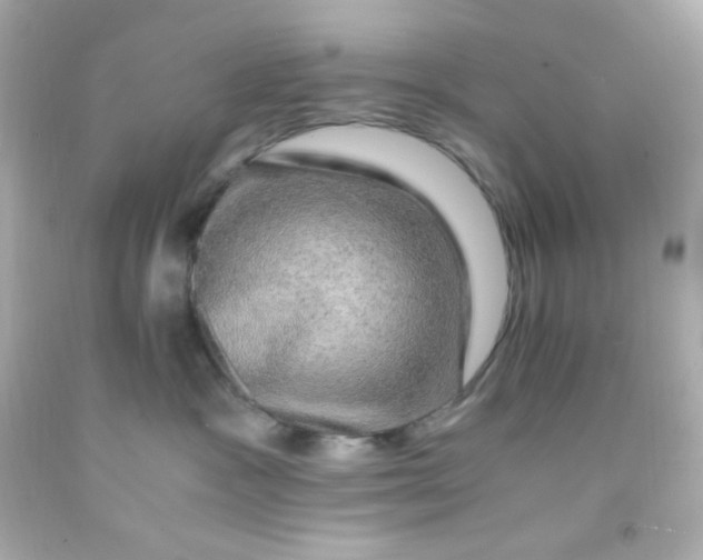 X0000091500333200709061927