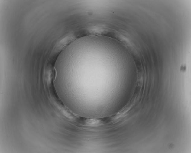 X0000091500334200709061927