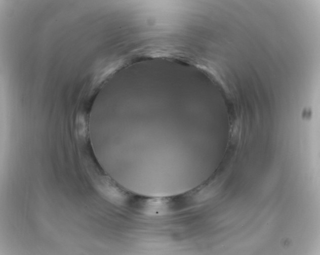 X0000091500335200709061927