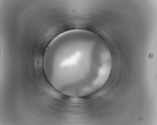 X0000091500336200709061927