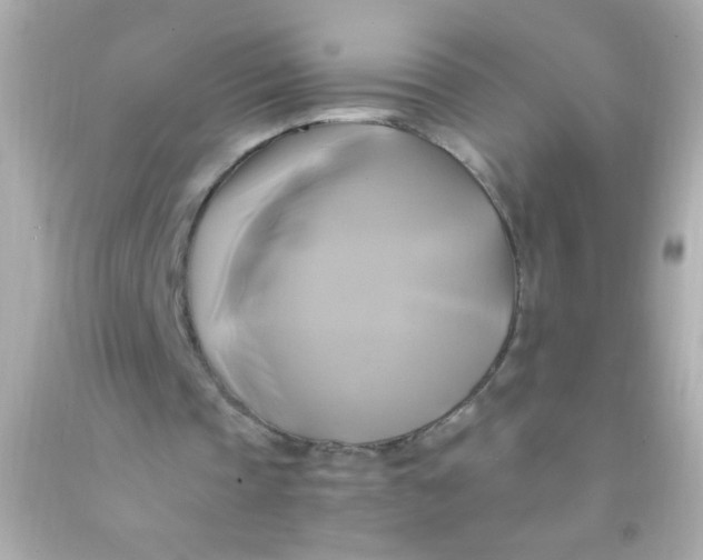 X0000091500337200709061926