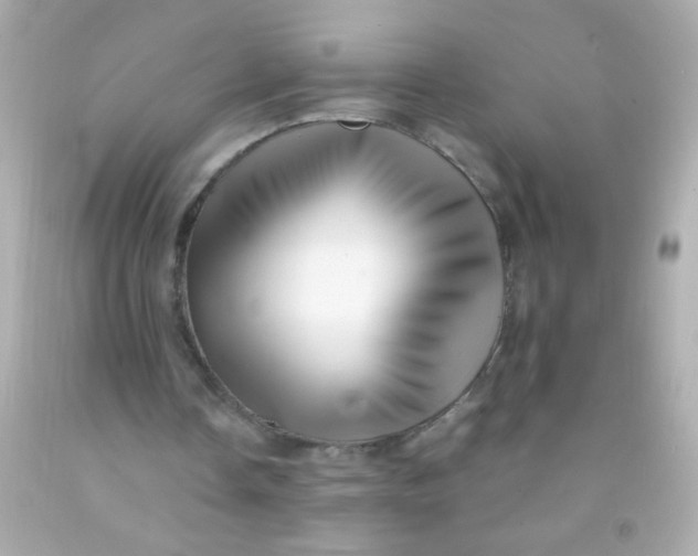 X0000091500338200709061926