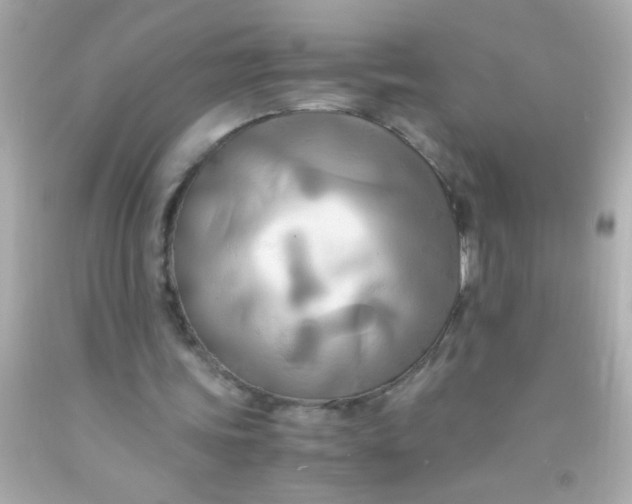 X0000091500339200709061926