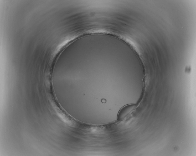 X0000091500345200709061927