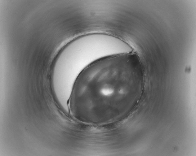 X0000091500346200709061927