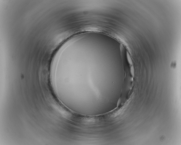 X0000091500349200709061927