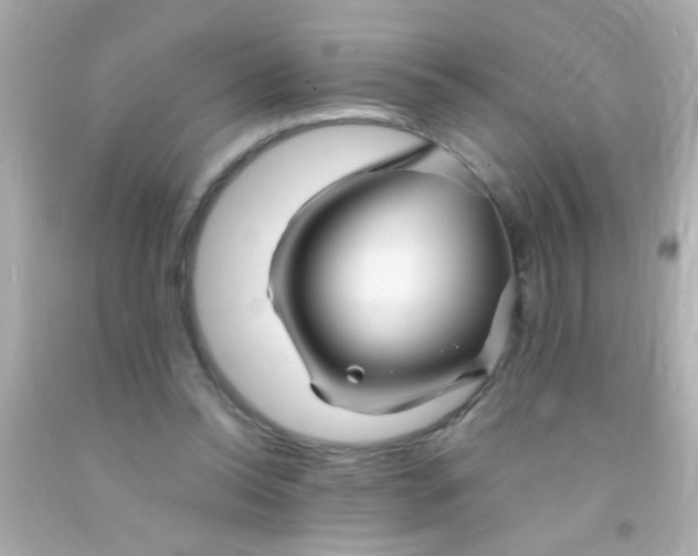 X0000091500350200709061927