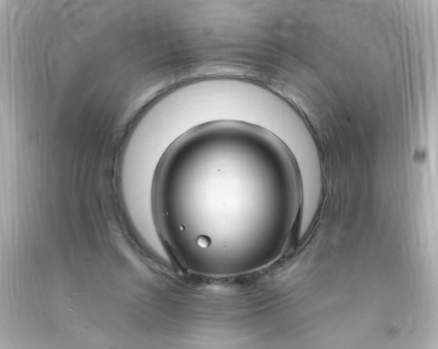 X0000091500352200709061927