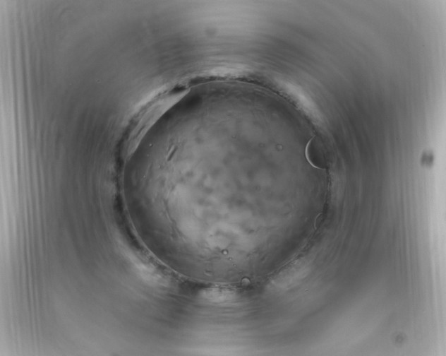 X0000091500354200709061927