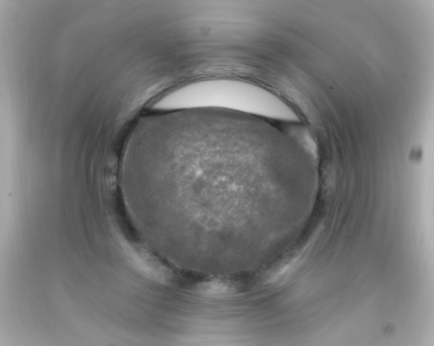 X0000091500356200709061927