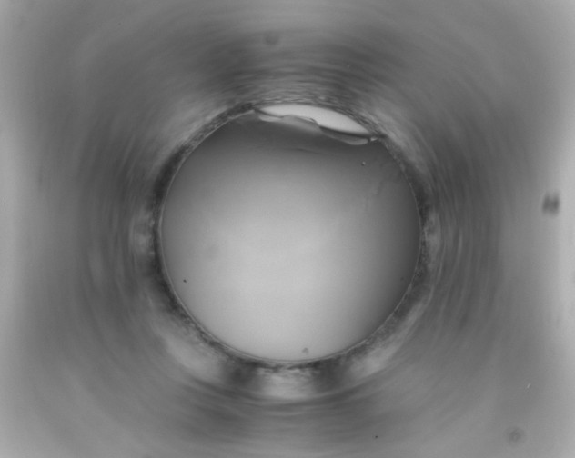 X0000091500359200709061927