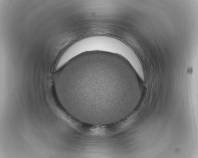 X0000091500362200709061927