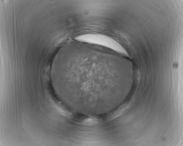 X0000091500364200709061927