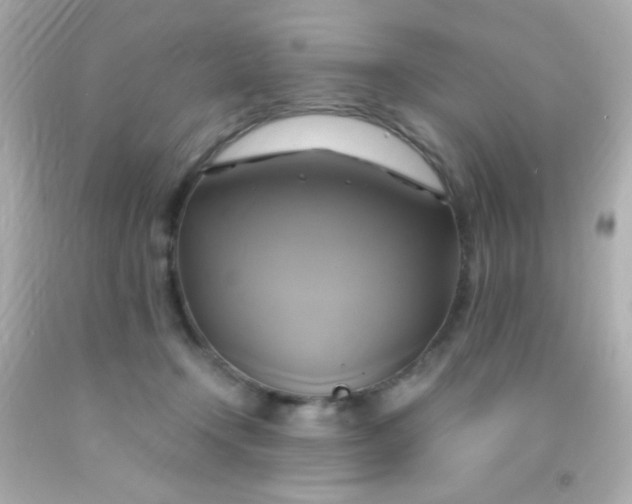 X0000091500366200709061927