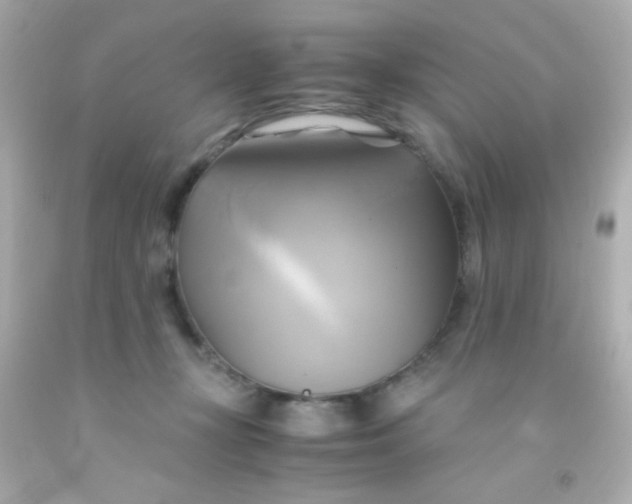 X0000091500367200709061927