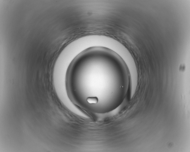 X0000091500368200709061927