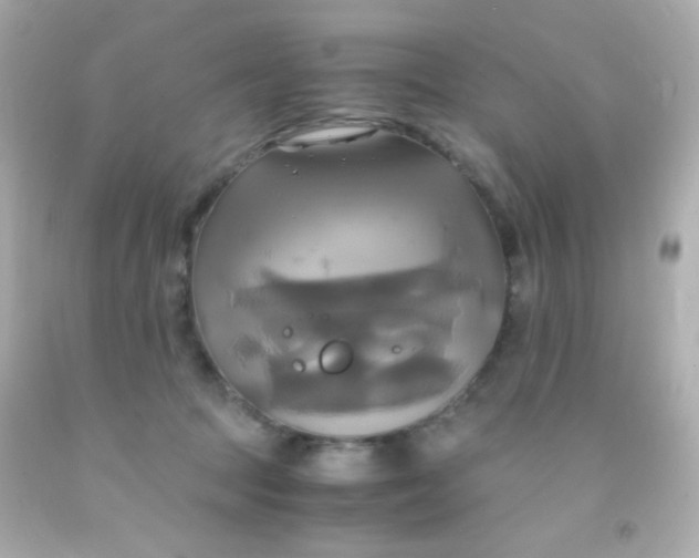 X0000091500369200709061927