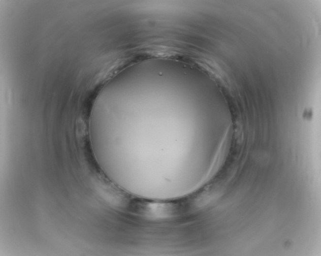 X0000091500371200709061927