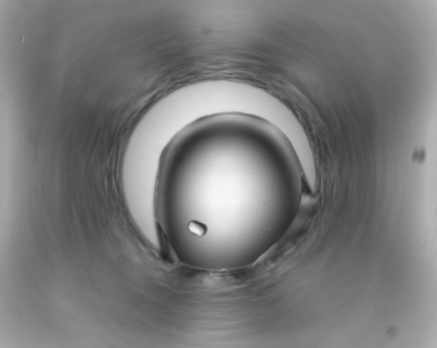 X0000091500372200709061927