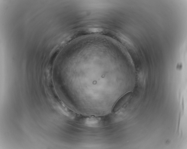 X0000091500373200709061927