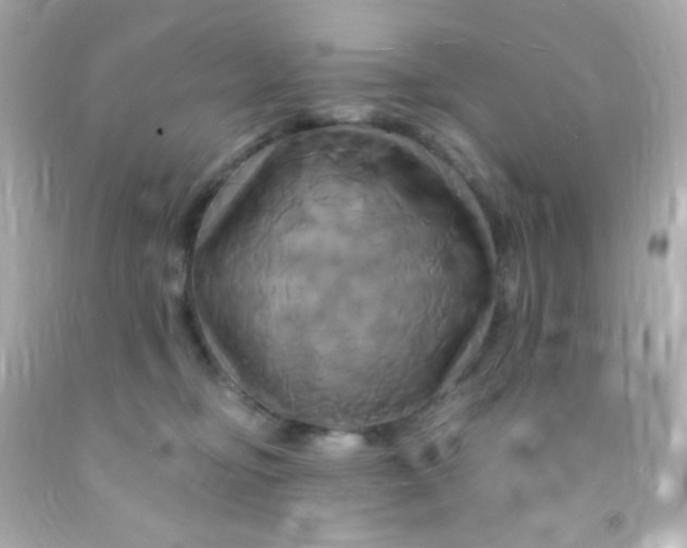 X0000091500374200709061927