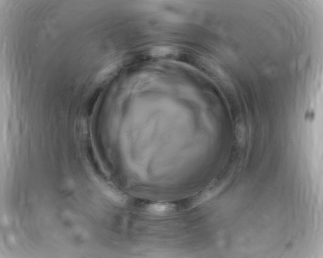 X0000091500375200709061927