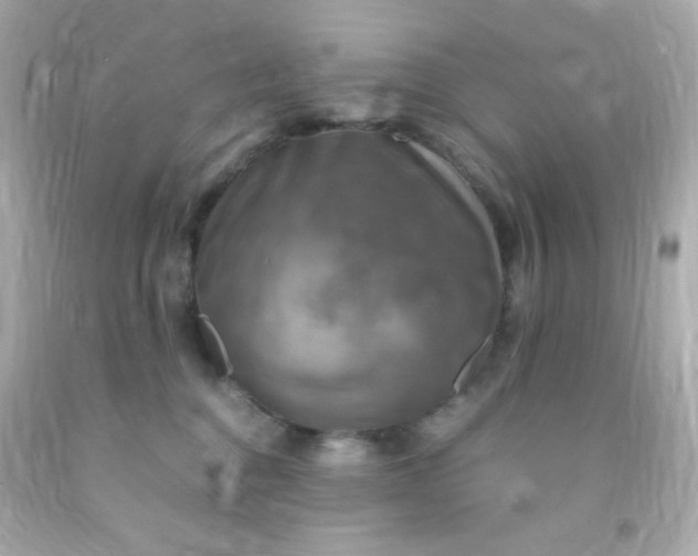 X0000091500376200709061927