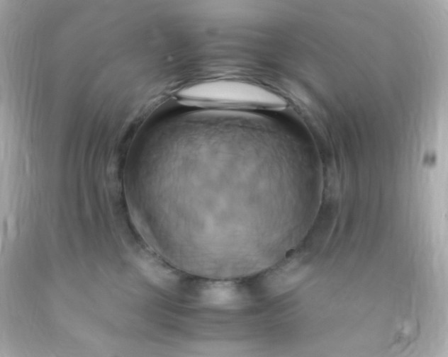 X0000091500377200709061927