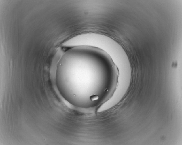 X0000091500378200709061927